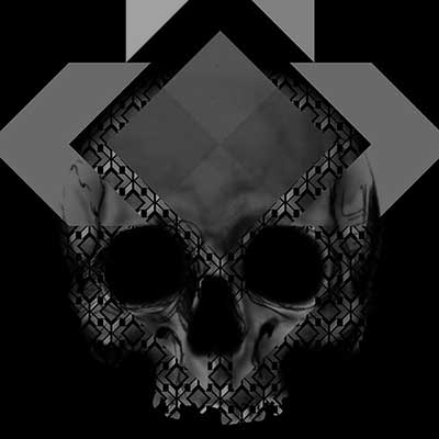 Instagram Skull